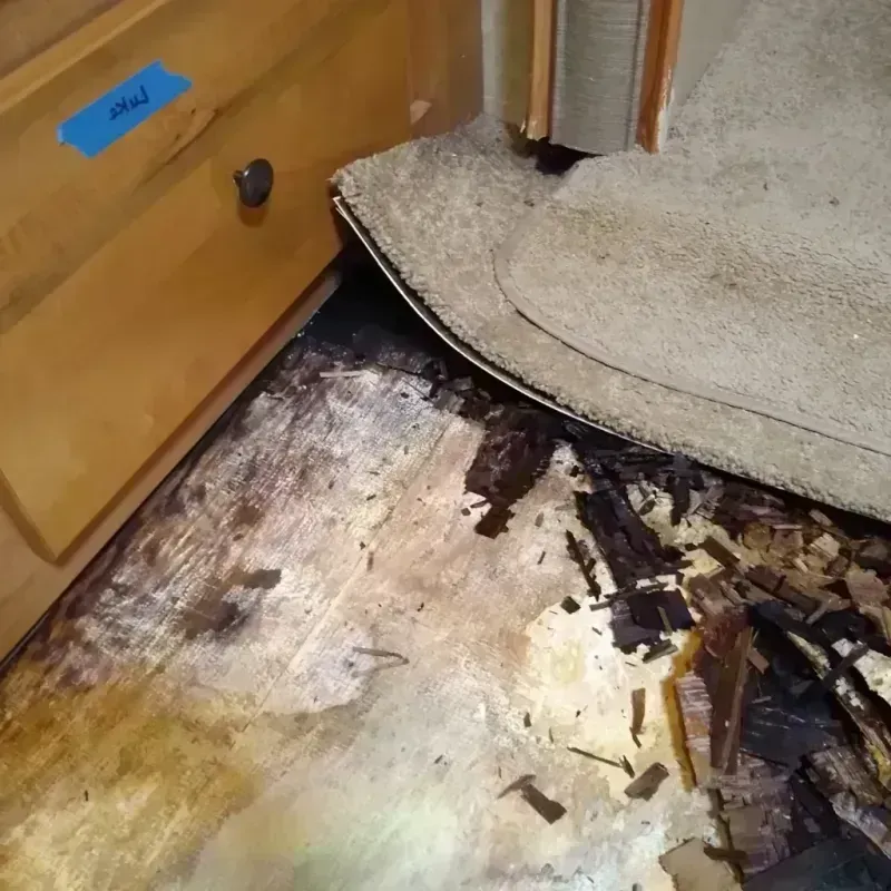 Wood Floor Water Damage in Long Creek, IL